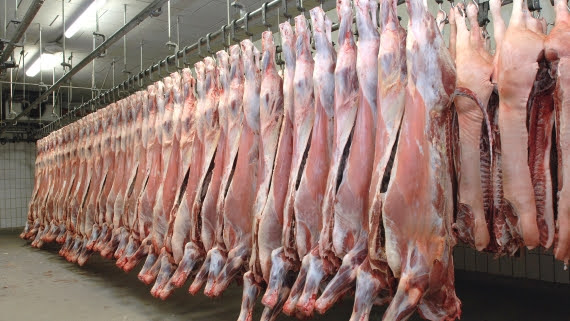Meat