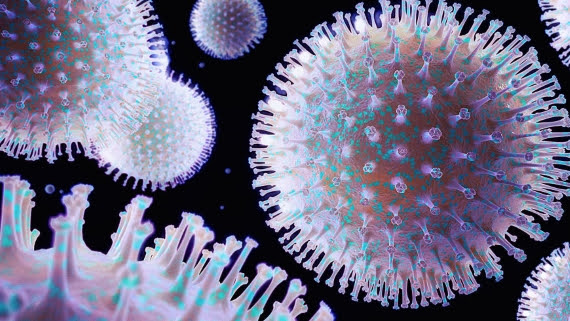Viruses
